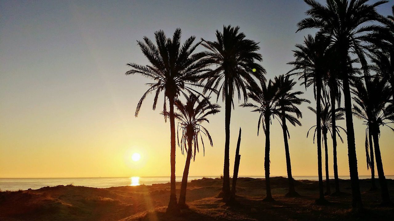 Torrevieja (España) quiere ser una ciudad "Crypto Friendly"