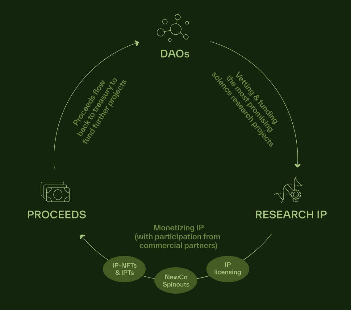 DeSci blockchain Bio Protocol