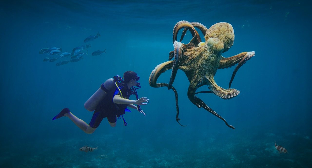 Deutsche Telekom, Subsquid y el negocio de los datos blockchain