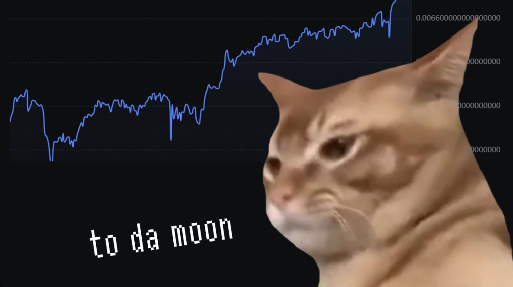 Catslap, rival de memecoin $MOG, se dispara tras listado en MEXC y premio de $100.000
