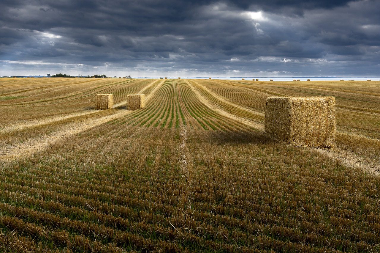 Tether quiere comprar Adecoagro, un gigante agroindustrial de Sudamérica