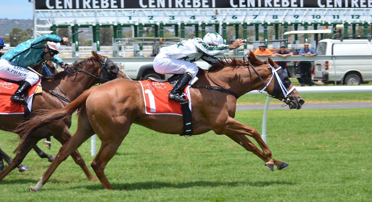 caballos de carrera