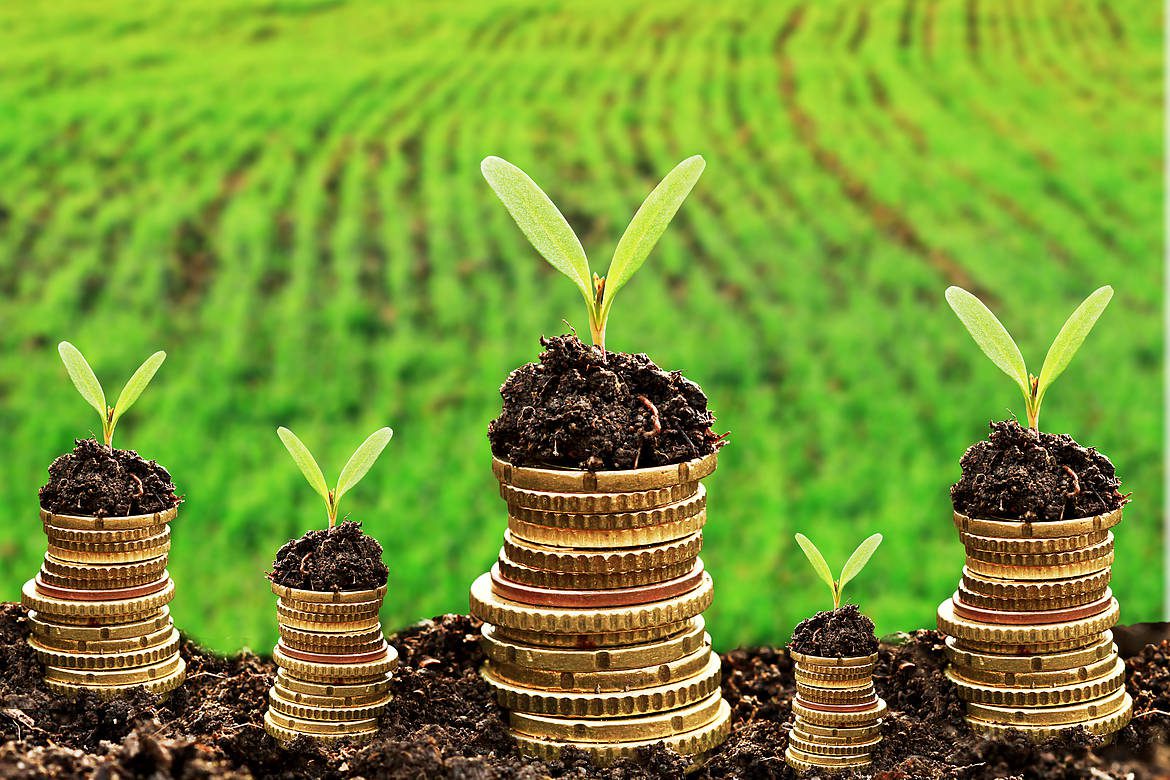 La tokenización imparable: BUIDL de BlackRock crece 200%