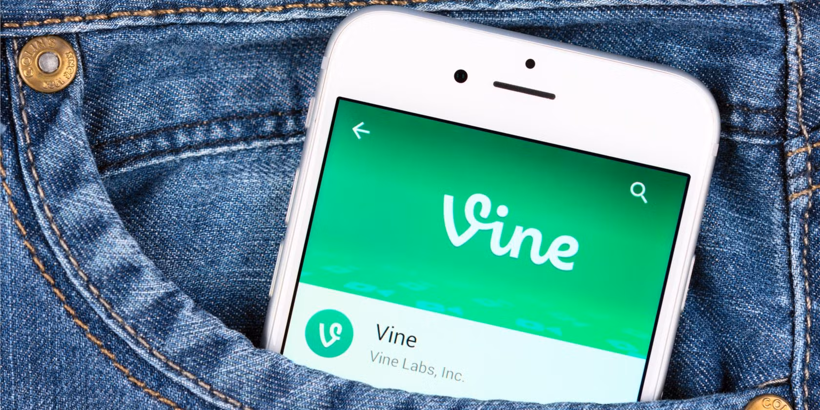 Precio de Vine Coin se dispara 112% tras prometer Musk renovar Vine con IA