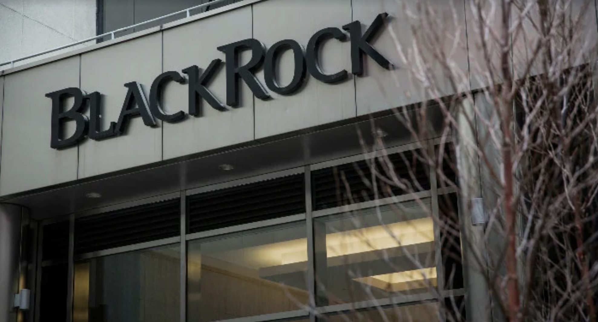 Qué gana BlackRock con la selección de Native Markets para stablecoin de Hyperliquid