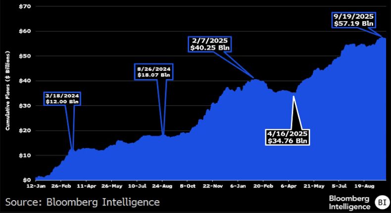 Etfs bitcoin entradas q3