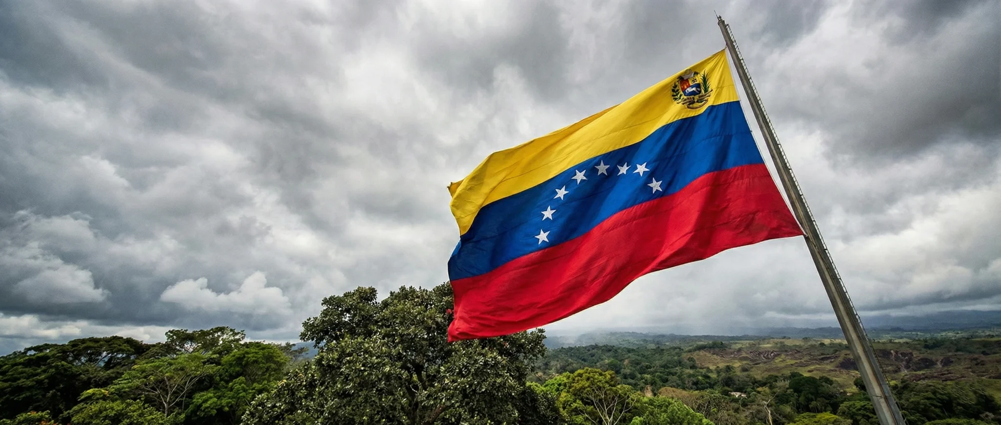 La nueva economía venezolana