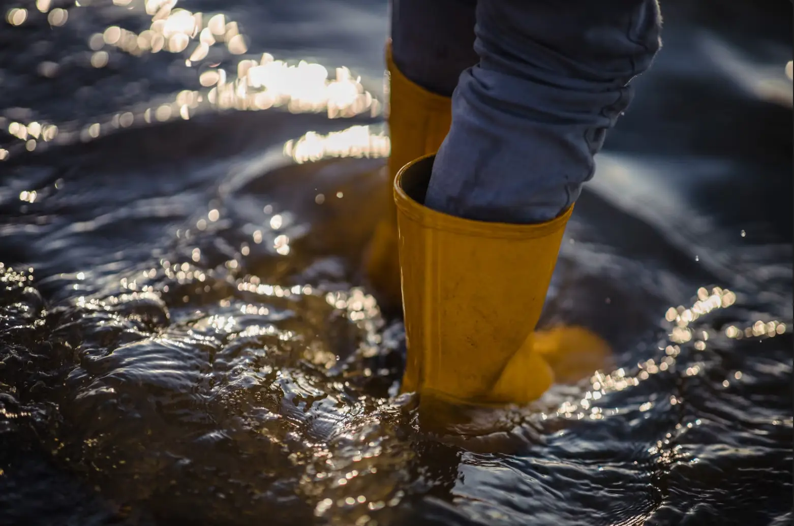 AI Flood y como la Web está en peligro