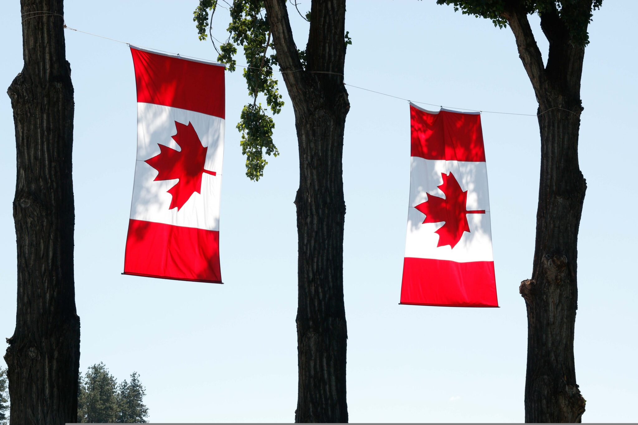 Canadá prepara a su gobierno para la llegada de agentes de IA autónomos